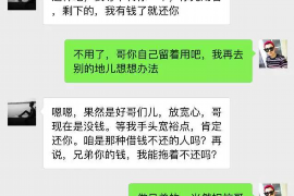 兴隆为什么选择专业追讨公司来处理您的债务纠纷？